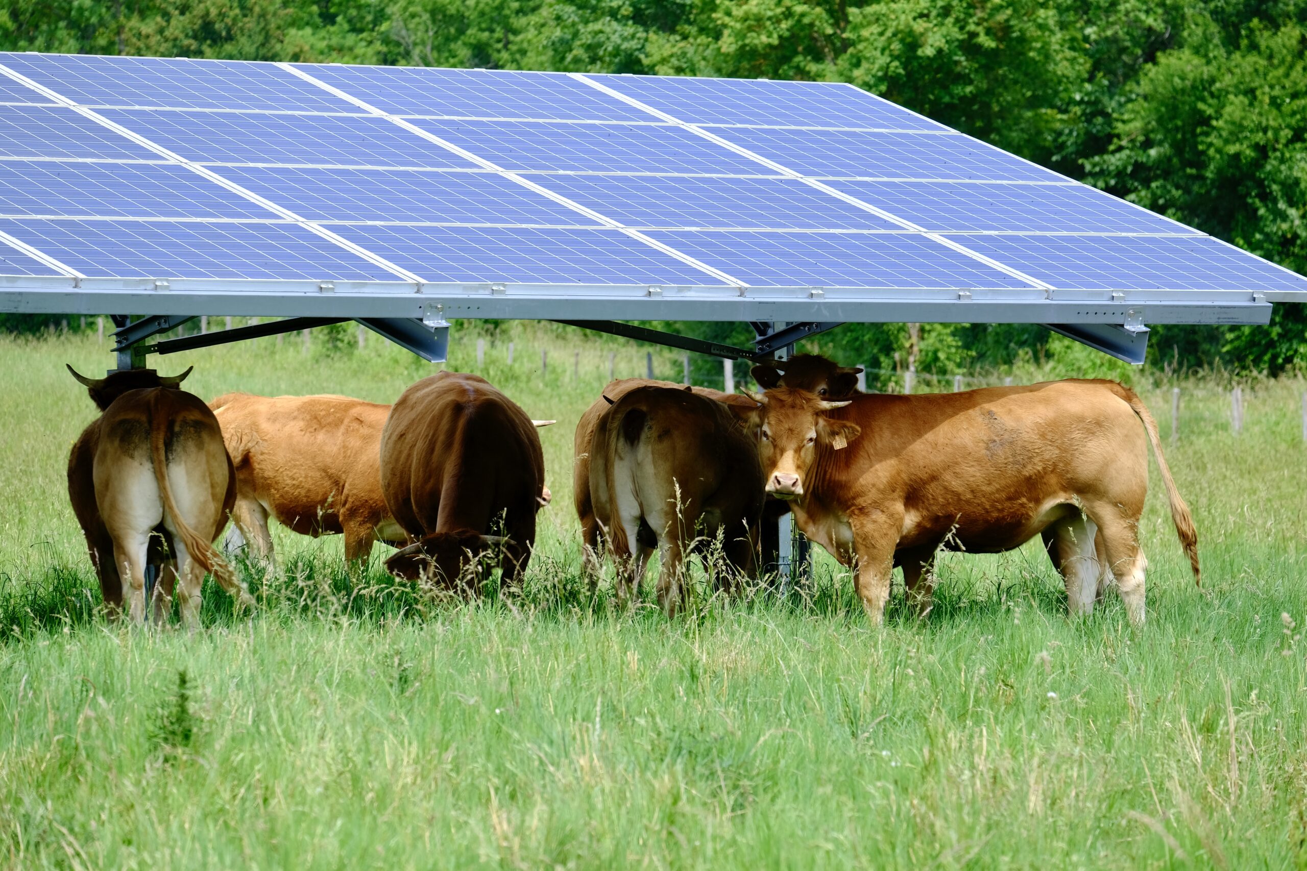 Valeco Enogrid agrivoltaïsme autoconsommation collective